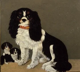 En Cavalier King Charles Spaniel med valpar (par 64046)