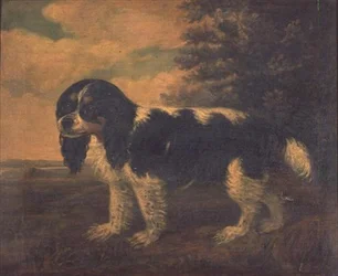 En King Charles Spaniel i ett landskap