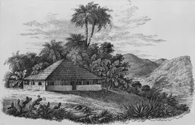 En planteras hus i Brasilien (litografi)
