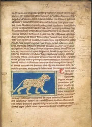 En tiger, från Sloane 3544, f.2 (pergament)