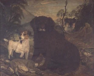 En vattenspaniel och två Jack Russells vid dagens väska