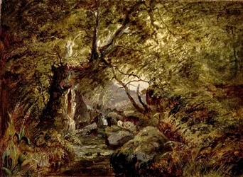 En skogsbäck
