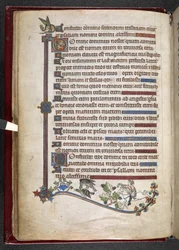 Lägg till MS 24686, f.14v, Pojke på ponny med falkjaktande anka, c.1284-1316 (vellum)