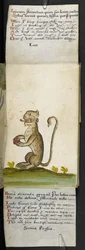 Lägg till MS 57312 f.12 spelbok (bläck & färg på veläng)