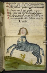 Lägg till MS 57312 f.13 spelbok (bläck & färg på veläng)