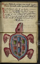 Lägg till MS 57312 f.5 spelbok (bläck & färg på veläng)