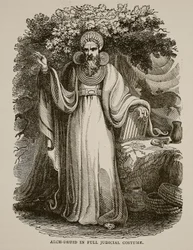 Arch-Druid i full rättslig kostym