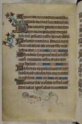 Bas-de-page-scen med en tupp och en bevingad orm i strid, med en dekorerad initial 