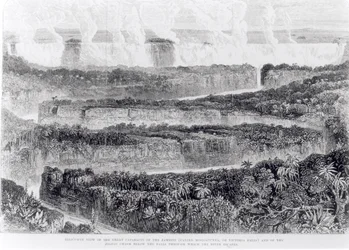 Fågelperspektiv över de stora grå starerna i Zambesi (Victoriafallen) från berättelsen om en utställning till Zambesi och dess bifloder, publicerad 1865