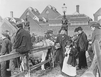 Brittisk byboskapsmarknad, viktoriansk, 1800-tal (foto)