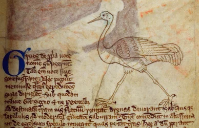 CCA-LitMs/D/10 fol. 14r Crane, från Bestiary