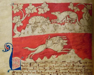 CCA-LitMs/D/10 fol. 4v Wolf, från Bestiary
