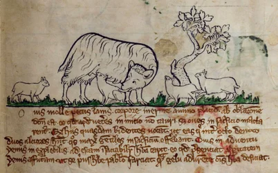 CCA-LitMs/D/10 fol. 8r Får, från Bestiary