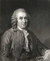 Carl von Linne eller Linnaeus (1707-78) från Porträttgalleriet, publicerat 1833