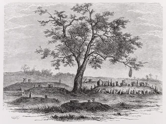 Kyrkogård och heligt träd i Mbinda, från "The History of Mankind", Vol.1, av professor Friedrich Ratzel, 1896.