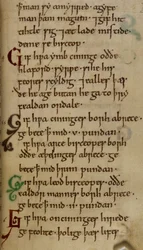 Cotton Nero A. I. f.33 Law-code of King Cnut (vellum)