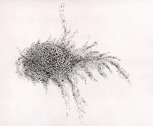 "Krabbnebulosan" av William Parsons, från "Observations on some of the Nebulae" från "Philosophical Transactions of the Royal Society