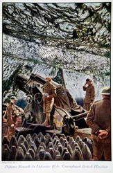 Defiance Beneath its Defensive Web, 1914-19