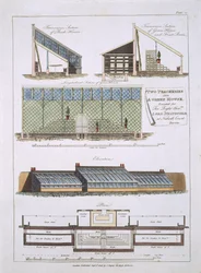Design för två persikor och ett grönt hus, 1806
