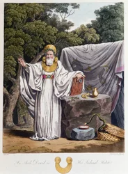Druid - i "" kelter och goter, seder hos invånarna på de brittiska öarna i början av 600-talet och de gotiska nationerna på västkusten av Östersjön", av S.R. Meyrick och Ch. Smed