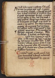 Utdrag ur Henry of Huntingdons Historia Anglorum, Cotton MS Titus D XXIV, f.132v (pergament)