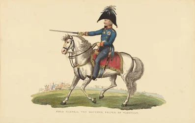 FM Von Blucher, Prins av Wagstadt