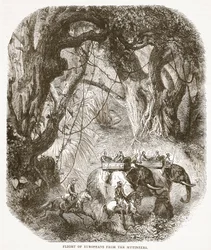 Flight of Europeans from the Mytery, illustration från Cassells Illustrated History of England