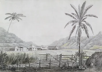Halse Hall, Jamaica, ca 1780 (wc & grafit på papper)