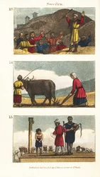 Historiska synpunkter på Sverige