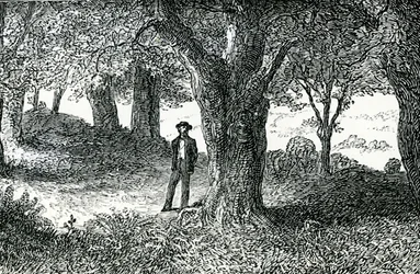 Illustration från 