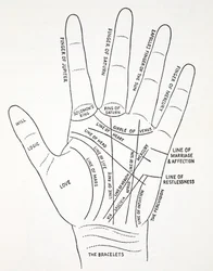 Handens linjer