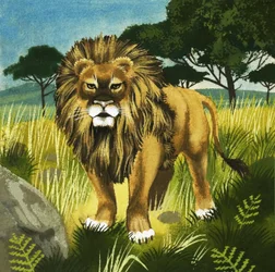 Lejon