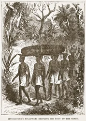 Livingstones anhängare som tar hans kropp till kusten, illustration från The Pictorial Edition av David Livingstones liv och upptäckter av J. Ewing Richie, pub. av A. Fullarton & Co., 1876 (li