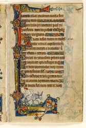 MS 1-2005, fol. 183r: A Man Riding Backwards, marginaldekoration från Macclesfield Psalter, Use of Sarum, East Anglia, ca 1330