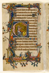 MS 1-2005, fol. 207v: Isaiah Praying, historisk initial a från Macclesfield Psalter, Use of Sarum, East Anglia, ca 1330
