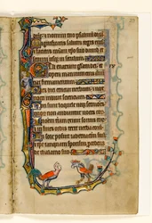 MS 1-2005, fol. 29r: Two Bird like grotesques, marginaldekoration från Macclesfield Psalter, Use of Sarum, East Anglia, ca 1330