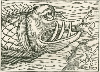 Man som blir uppäten av en sjöorm. Illustration i marginalen på en karta som utarbetats av Olaus Magnus
