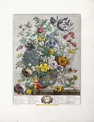 maj 1730