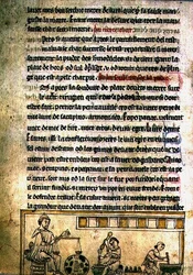 Ms.O.1.20.f.240r An Apothecary
