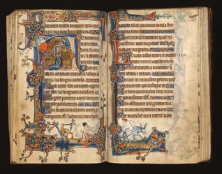 Ms 1-2005, ff.182v-183r: David ber, historisk initial från Macclesfield Psalter, Use of Sarum, East Anglia, ca 1330