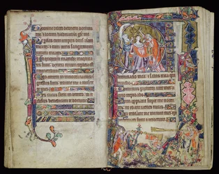 Ms 1-2005, ff.38v-39r: The Anointing of David, historik D initial från Macclesfield Psalter, Use of Sarum, East Anglia, ca 1330