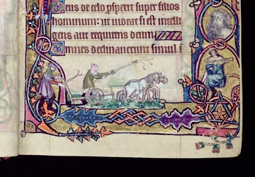 Ms 1-2005, ff.76v-77r: David och dåren, historisk initial från Macclesfield Psalter, Use of Sarum, East Anglia, c.1330 (vellum) (detalj av 276994)