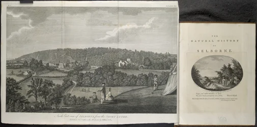 Nordostvy över Selbourne