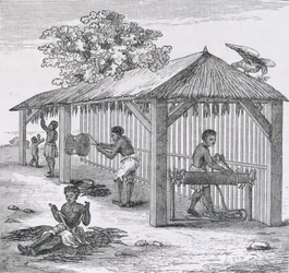Beredning av tobak, från "Santo Domingo Past and Present" av Samuel Hazard, publicerad i Santo Domingo. 1873