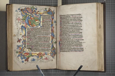 Psaltare med Sarum-brukskalender, Fol 72 verso fol 73 recto, c.1425-75 (bläck, färg & guld på veläng)