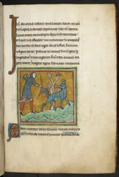 Royal 12 F.XIII, f.16   En jägare som skjuter en pil mot ett djur.  Bestiary (ff. 3-141), Lapidary (ff. 141v-149)  2:a fjärdedelen av 1200-talet