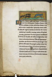 Royal 12 F.XIII, f.43v Möss som jagar en katt, från Bestiary (ff. 3-141), Lapidary (ff. 141v-149)  , 1200-talets andra kvartal (vellum)