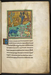 Royal 12 F.XIII, f.7   En leopard som jagar en hjort, med en kamel och ett annat djur.  från Bestiary (ff. 3-141), Lapidary (ff. 141v-149)  2:a fjärdedelen av 1200-talet