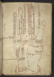 Royal MS 12 C XII f.107r Läser händerna, i en medeltida blandning (bläck på veläng)