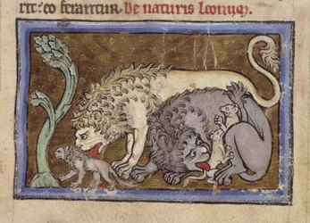 Royal MS 12 C XIX, f.6r Lions, från 